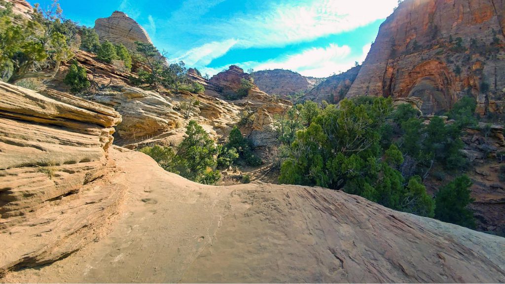 Canyon Overlook Trail, A Must Do Zion National Park Hike - Casual Trekkers