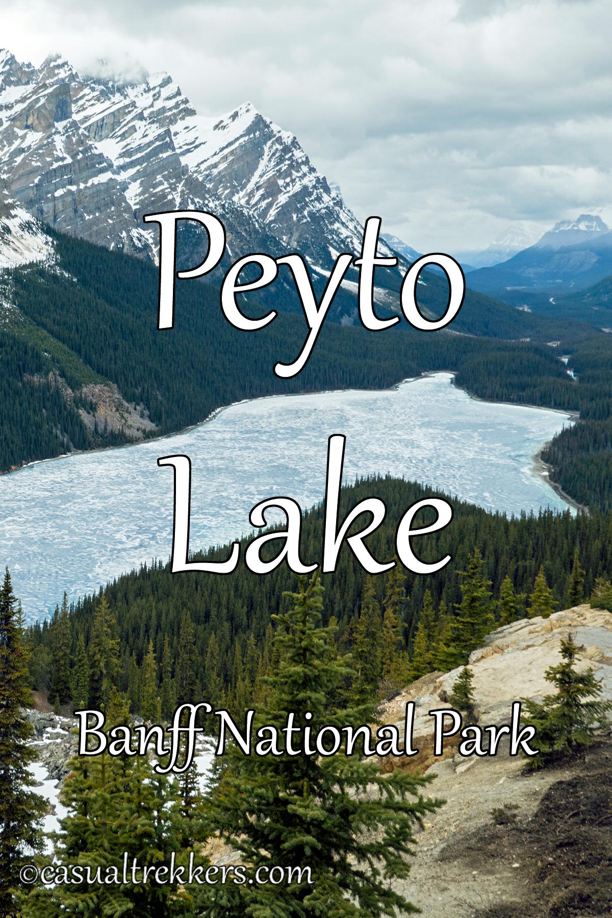 Peyto Lake