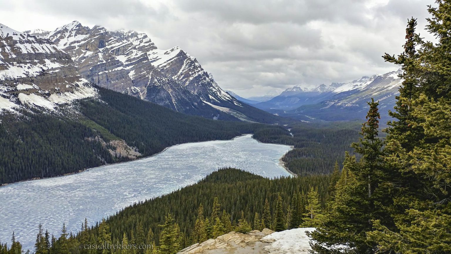 Peyto Lake - Banff National Park - Casual Trekkers