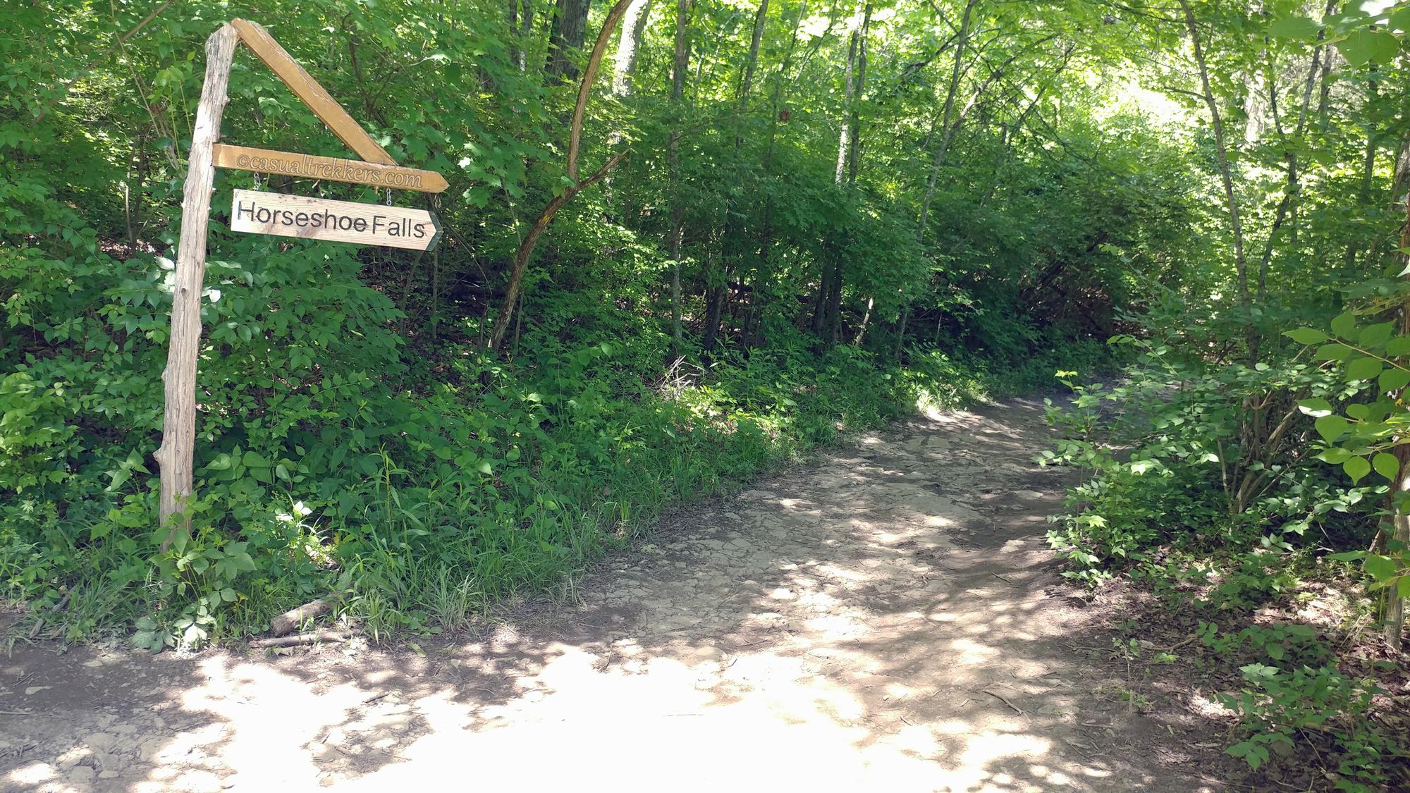 Horseshoe Falls Trail