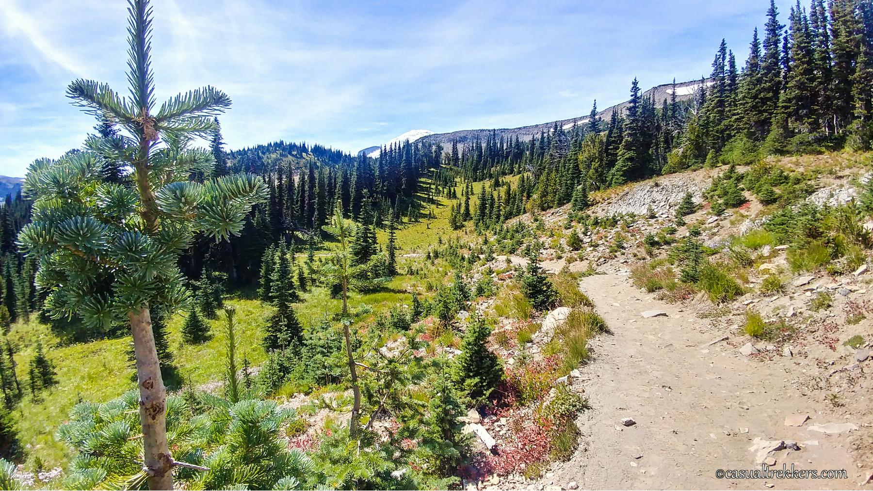 Mt Rainier Wonderland Trail
