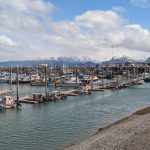 Homer Alaska Harbor