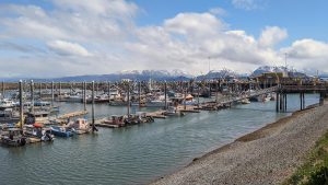Homer Alaska Harbor