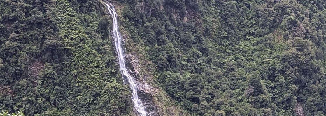 Doubtful Sound Wilderness Cruise - Real NZ