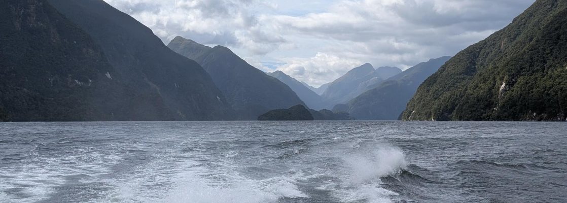 Doubtful Sound Wilderness Cruise - Real NZ