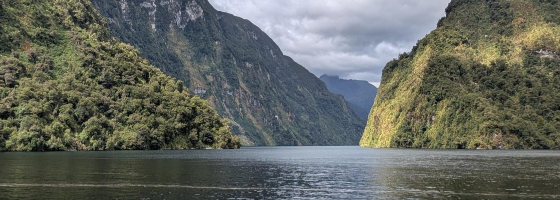 Doubtful Sound Wilderness Cruise - Real NZ