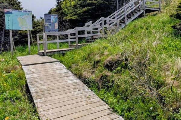 Cedar Cove Trail