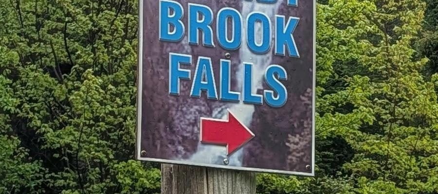 Steady Brook Falls