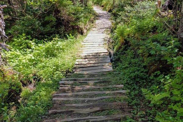 Cedar Cove Trail
