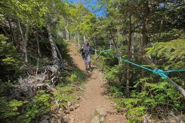 Cedar Cove Trail