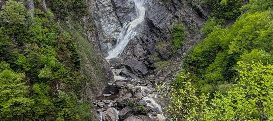Steady Brook Falls