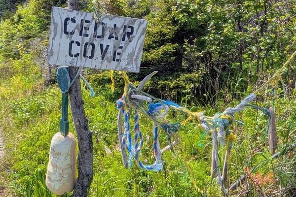 Cedar Cove Trail