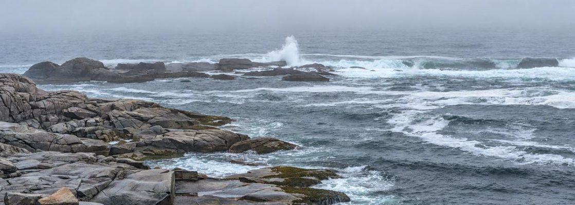 Cape Rose Blanche Ocean
