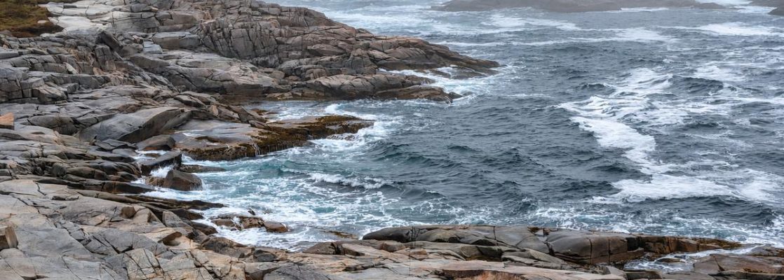 Cape Rose Blanche Ocean
