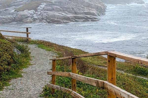 Cape Rose Blanche Trail 3