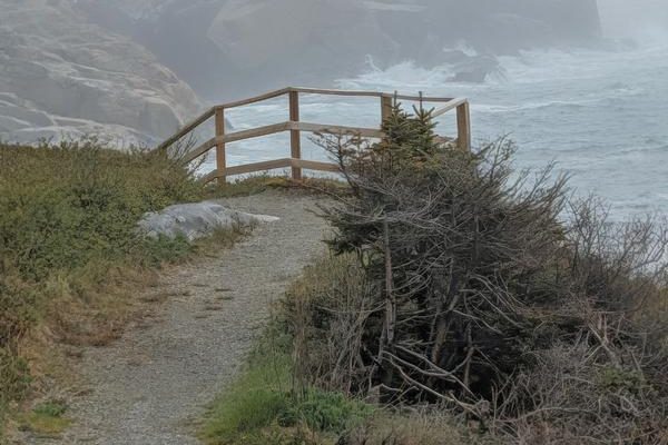 Cape Rose Blanche Trail 4