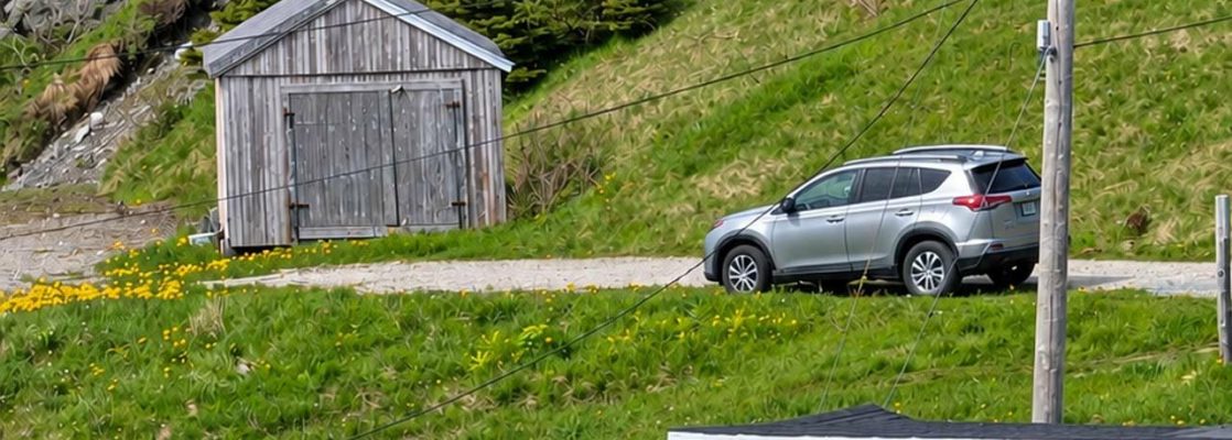 Cedar Cove: Where We Parked