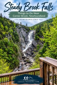 Steady Brook Falls