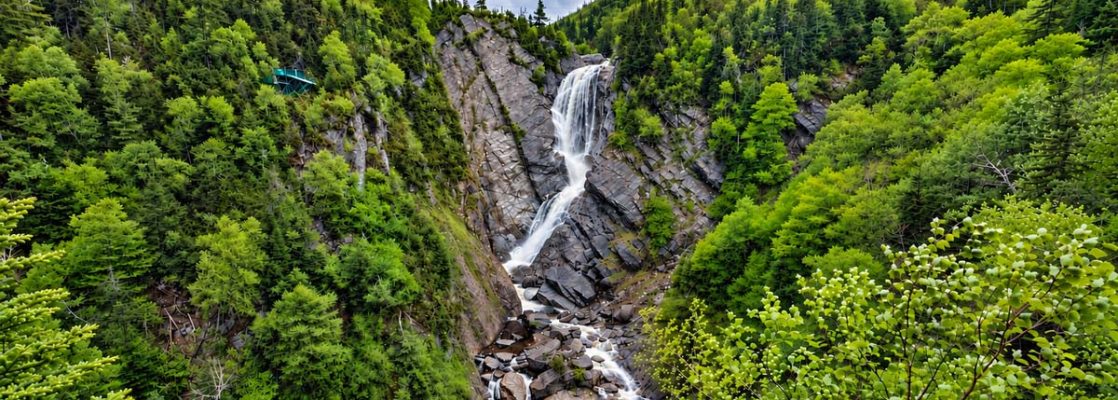Steady Brook Falls
