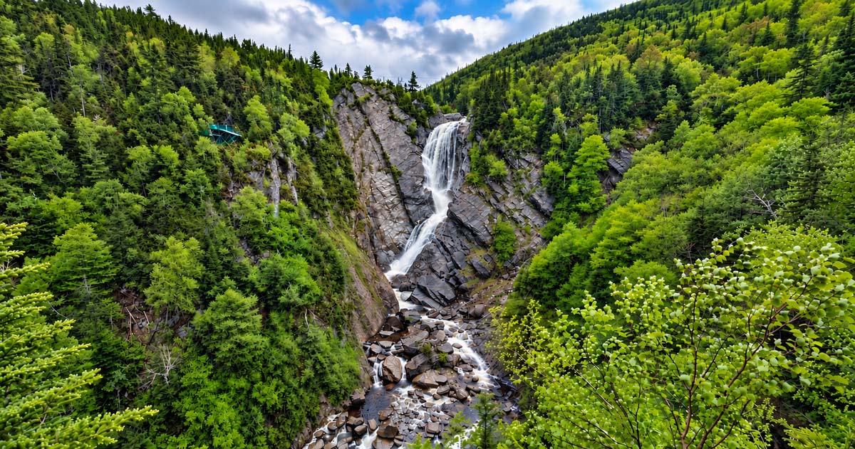 Steady Brook Falls
