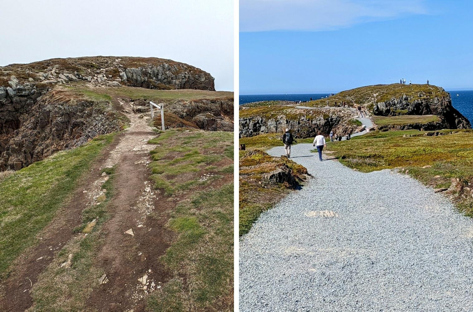 Elliston Viewing Site 2024 - 2026