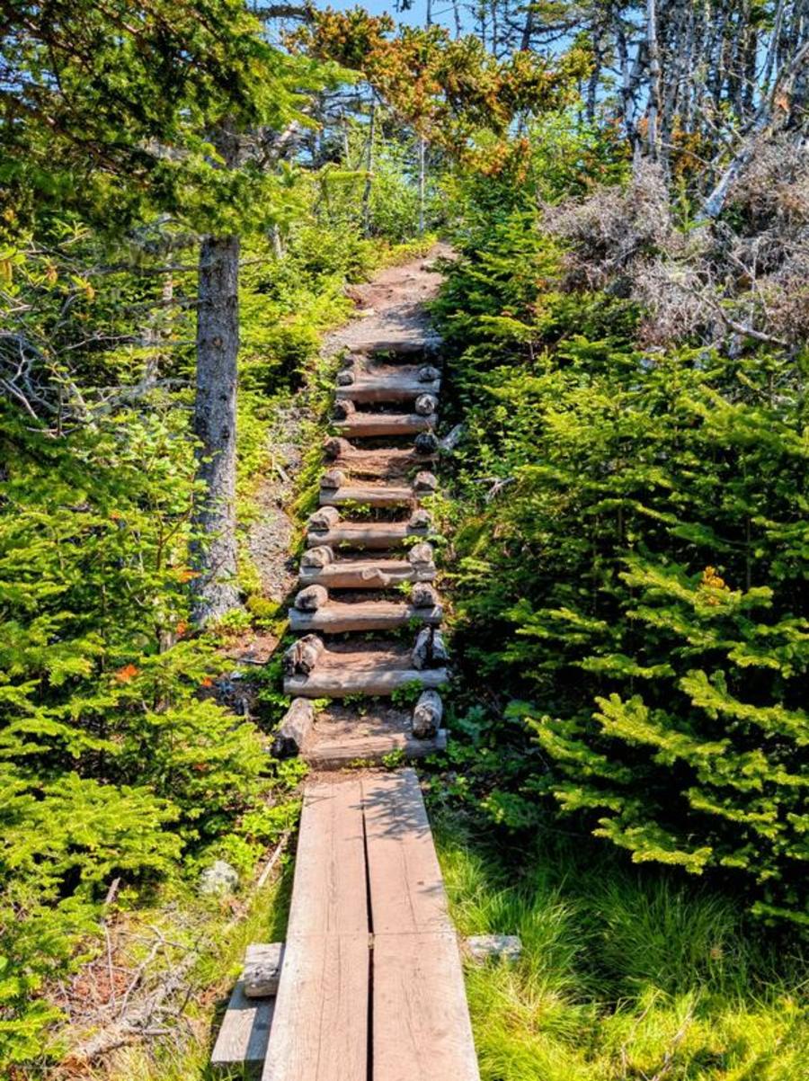 Steps along the Skerwink Trail near Dog Cove, Newfoundland Steps along the Skerwink Trail near Dog Cove, Newfoundland