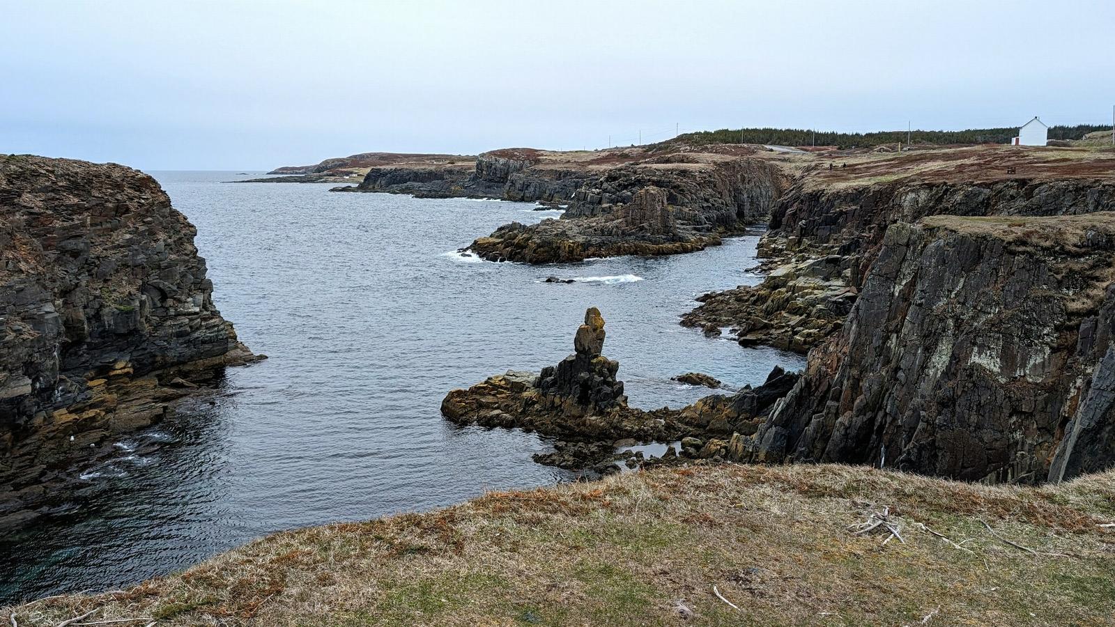 The Puffin King