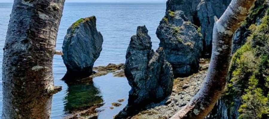 Sea Stacks On The Skerwink Trail