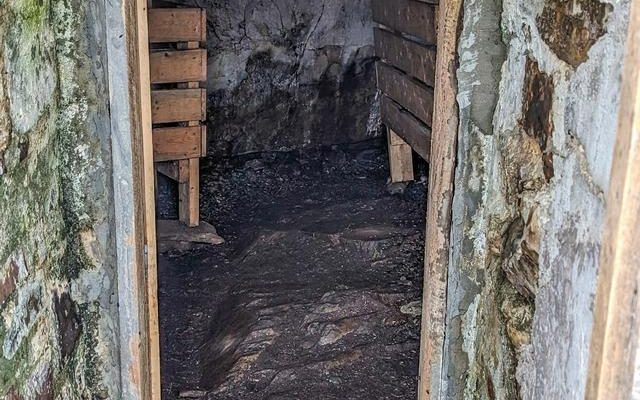 Elliston Root Cellars