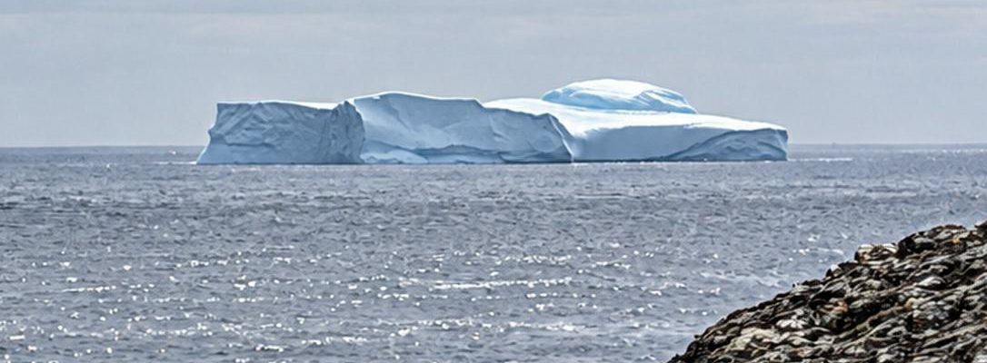 Distant Iceberg Seen At Fishing Point St Anthony 2026