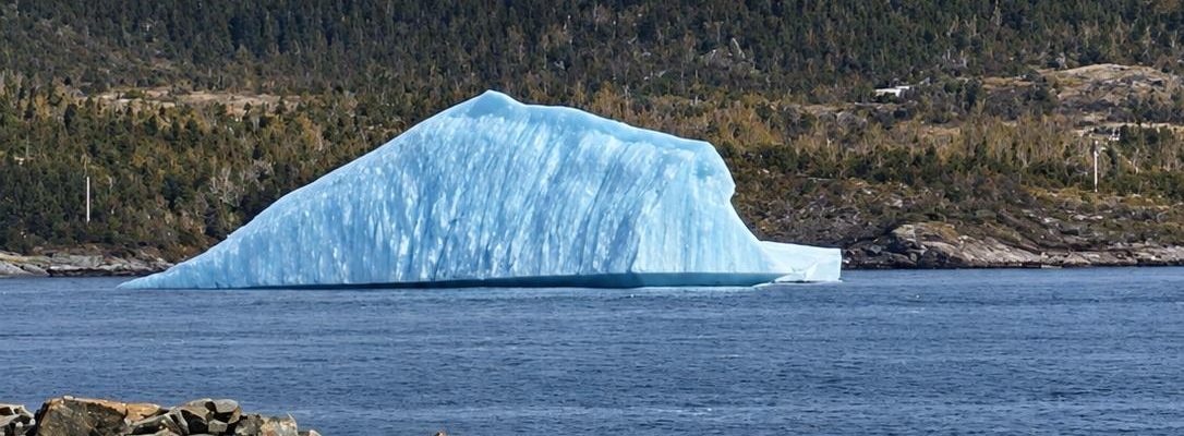 Iceberg Near Fishing Point