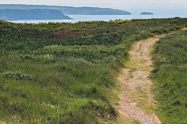 The coastal trail leading toward Bird Rock at Cape St. Mary's Ecological Reserve.