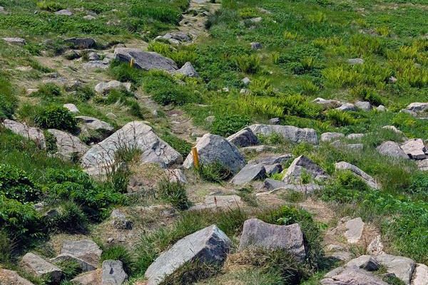 A Few Rocky Sections Along The Way
