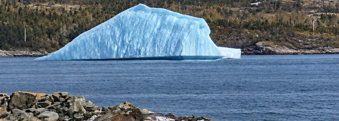 Chasing Icebergs In Newfoundland