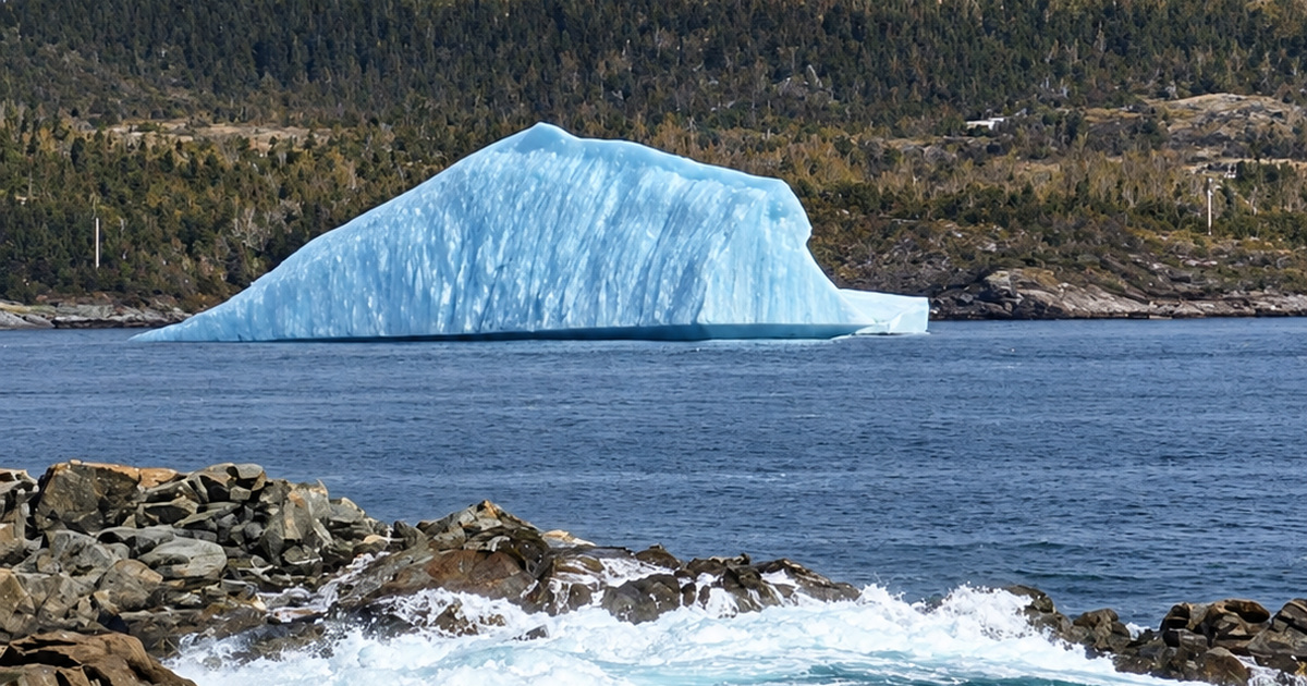 Chasing Icebergs In Newfoundland